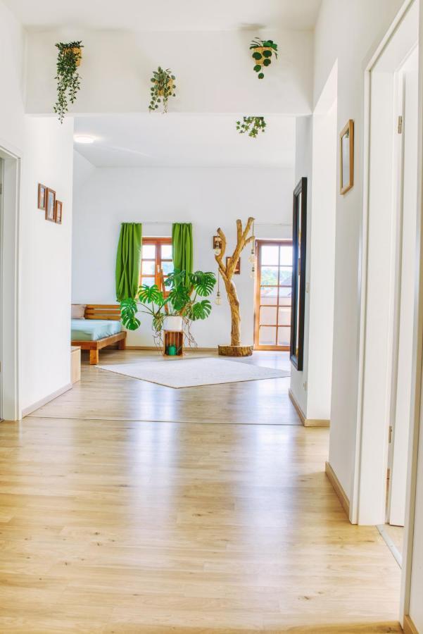 Luxus Apartment! Kueche, Balkon, Netflix, Parkplatz - 8 Personen Ilmmunster Eksteriør bilde